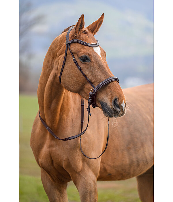 Bridon sans embouchure  Gentle Connection