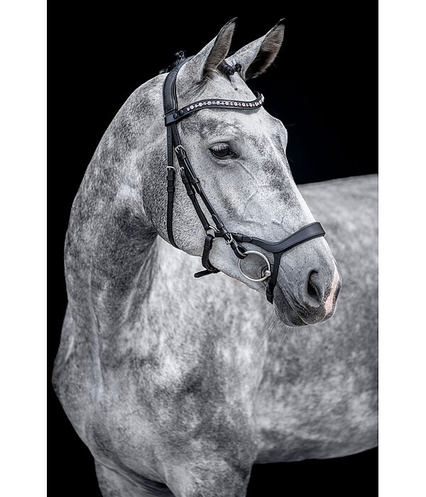 Muserolle en cuir  Mix & Match Revolution