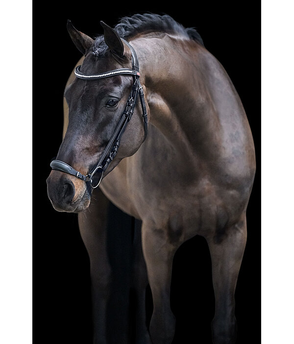 Bridon avec muserolle allemande  Perfect Fit