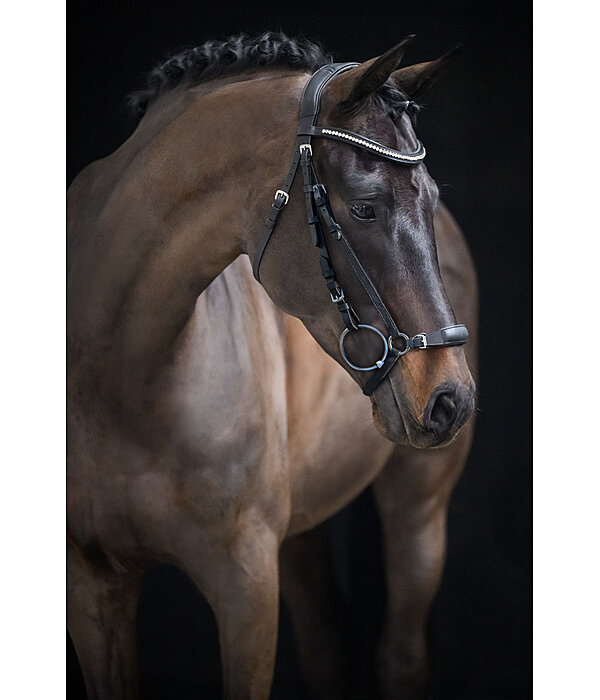 Bridon avec muserolle allemande  Perfect Fit