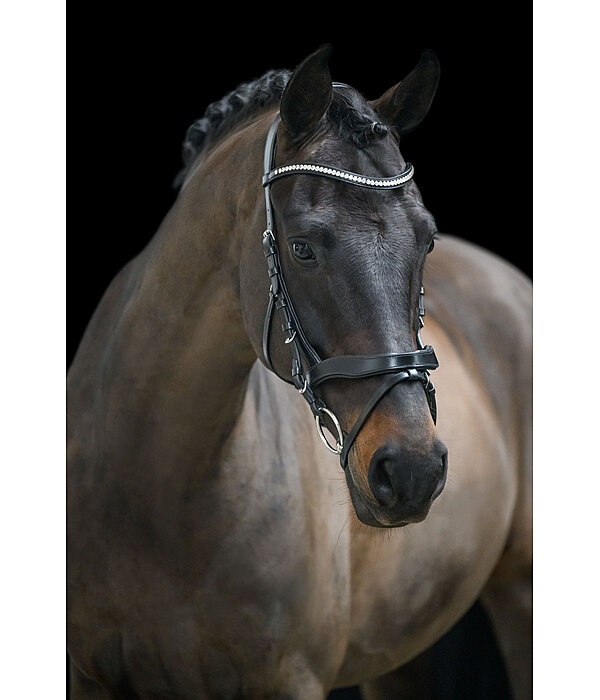 Bridon avec noseband amovible  Berlin