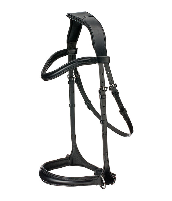 Bridon sans mors 5 en 1