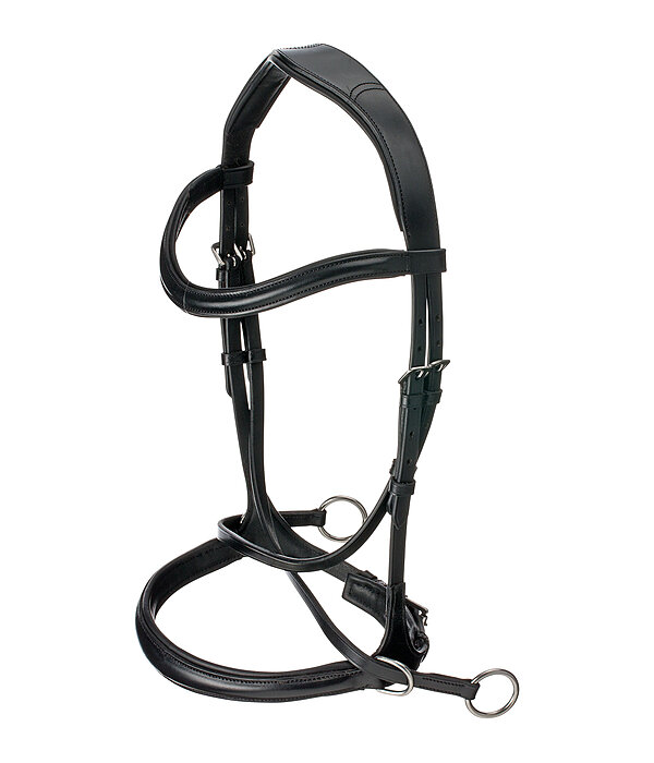 Bridon sans mors 5 en 1