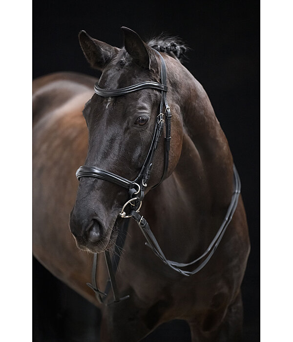 Bridon sans mors 5 en 1