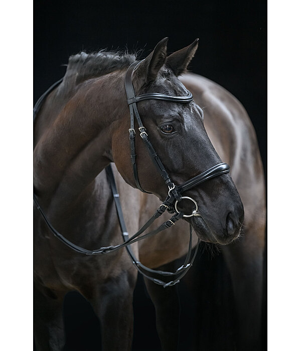 Bridon sans mors 5 en 1