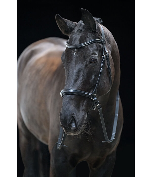 Bridon sans mors 5 en 1