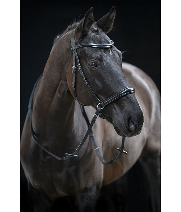 Bridon sans mors 5 en 1