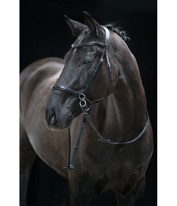 Bridon sans mors 5 en 1