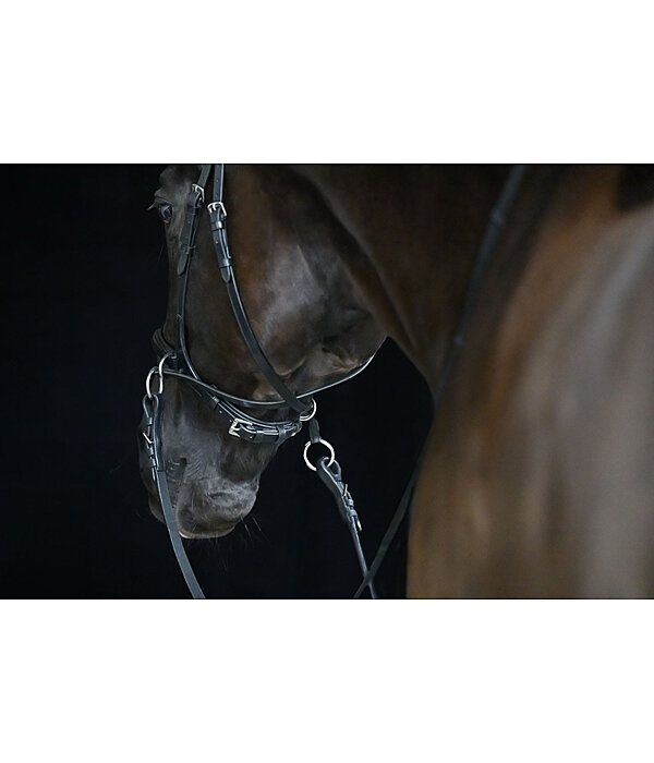 Bridon sans mors 5 en 1