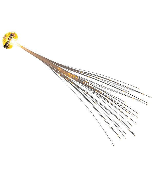 Clip LED crinire et queue