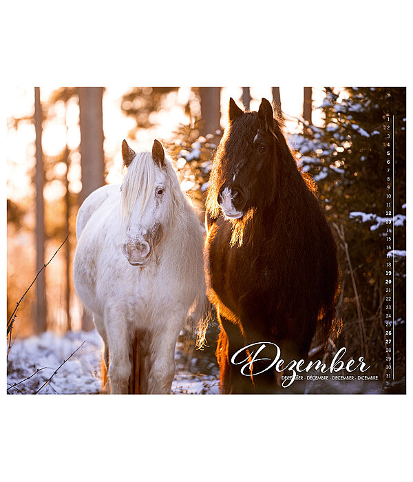 Calendrier Irish Cob 2026