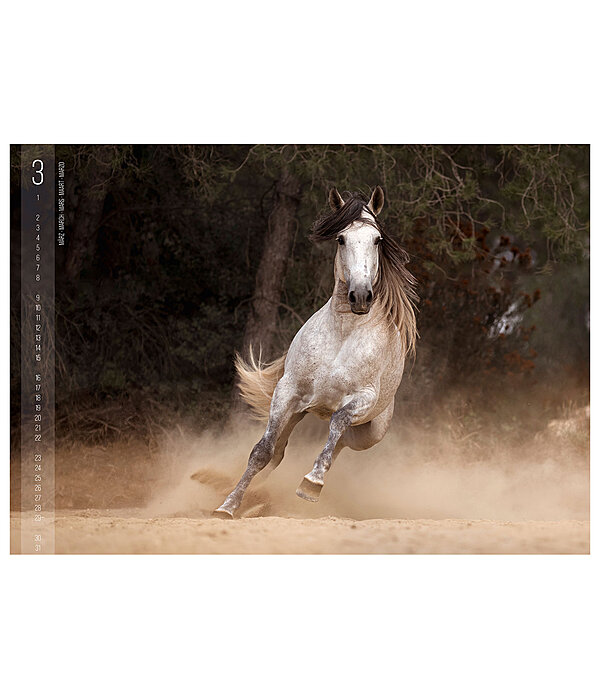 Calendriers 2026 Chevaux