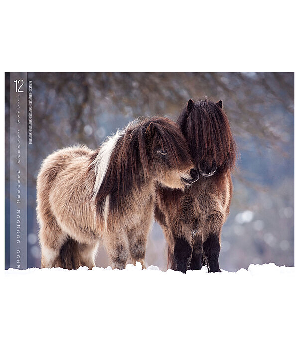 Calendriers 2026 Chevaux