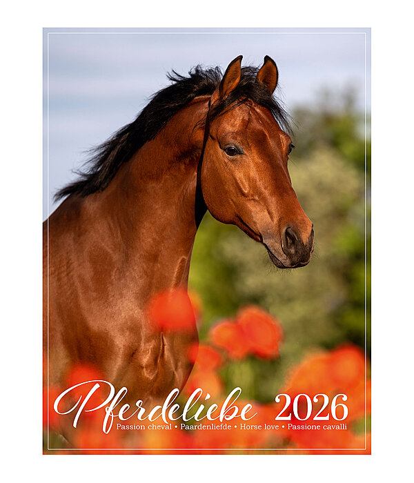 Calendrier 2026 L�amour du cheval