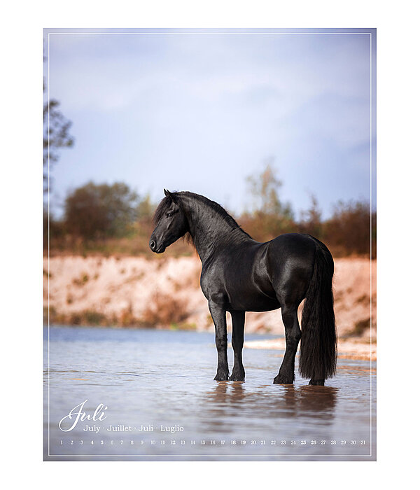 Calendrier 2026 L�amour du cheval