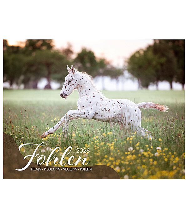 Calendrier Poulains 2026