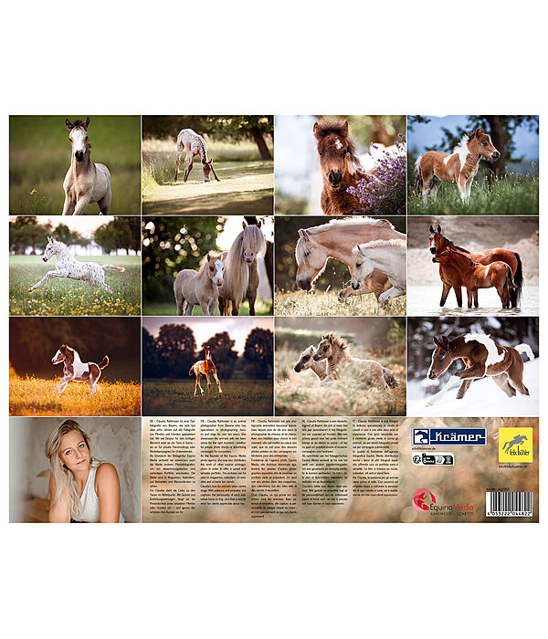 Calendrier Poulains 2026