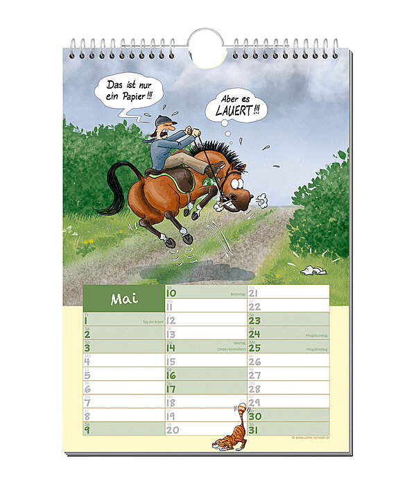 Geschichten vom Pferd - Comic Kalender 2026