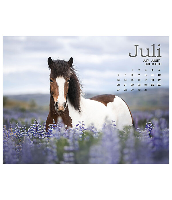 Calendrier Islandais 2026