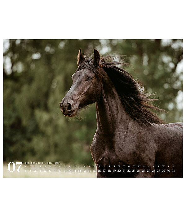 Calendrier frisons 2026