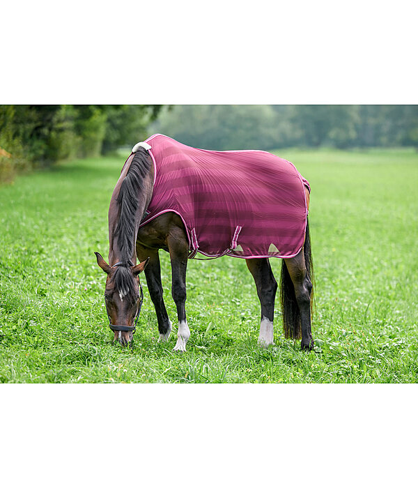 Chemise de marcheur anti-mouches  Economy Light