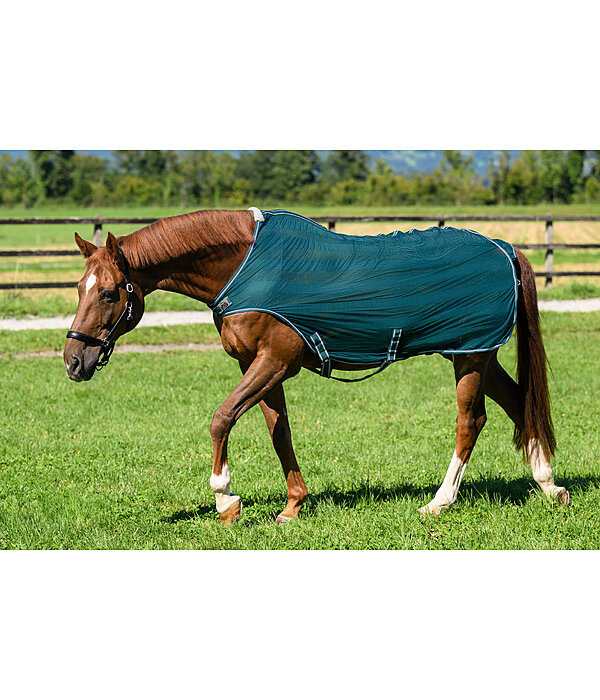 Chemise de marcheur anti-mouches  Economy Light