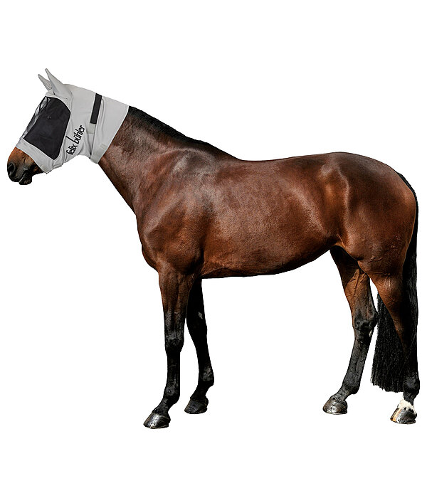 Masque Et Chemise Anti Mouche Cheval : Tout Savoir