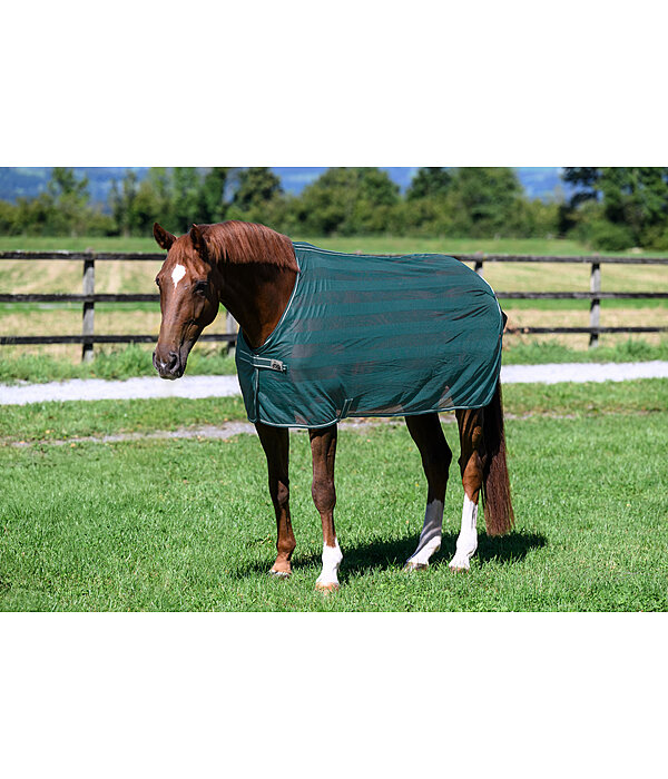 Chemise anti-mouches  Economy Light