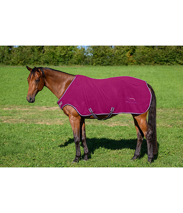 Chemise de marcheur en polaire  Activity