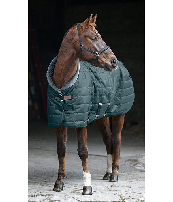 Chemise d'�curie  Stay Cosy