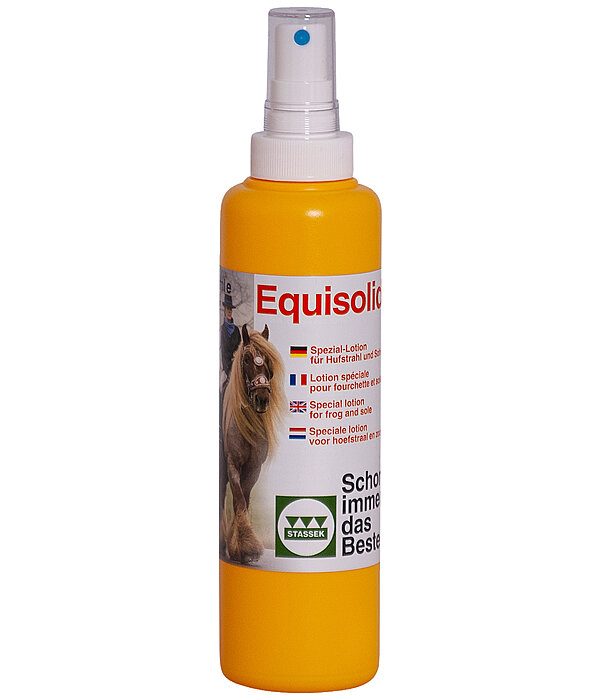 Equisolid