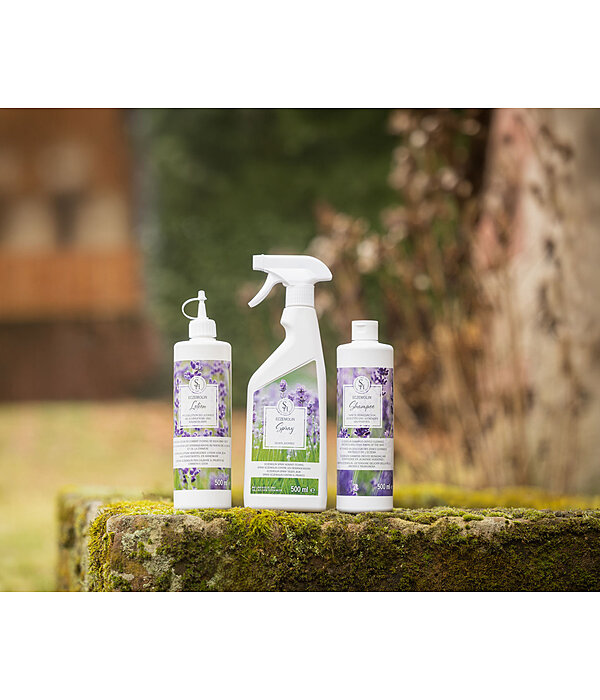 Shampoing  Eczemolin