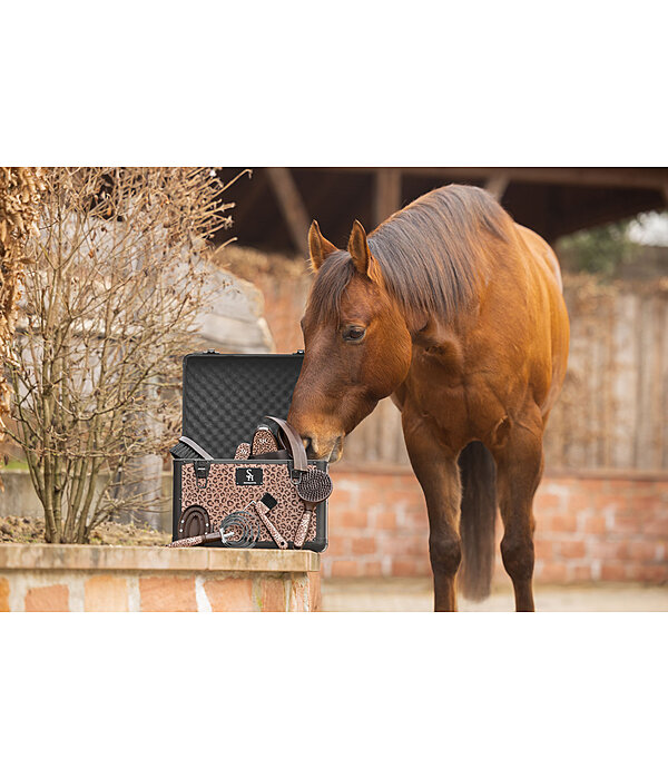 Bo�te de pansage  Leo