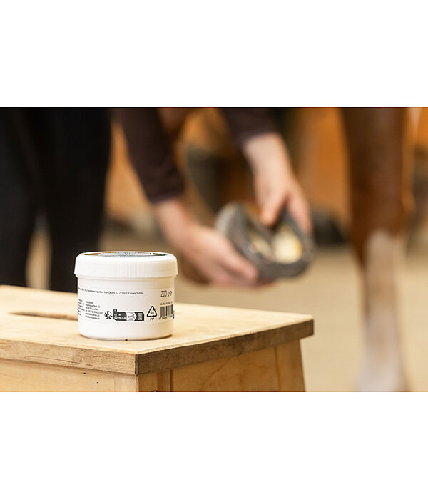 P�te pour fourchette et sole