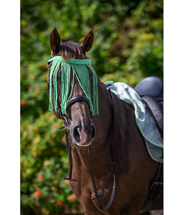 Chasse-mouches  prix conomique