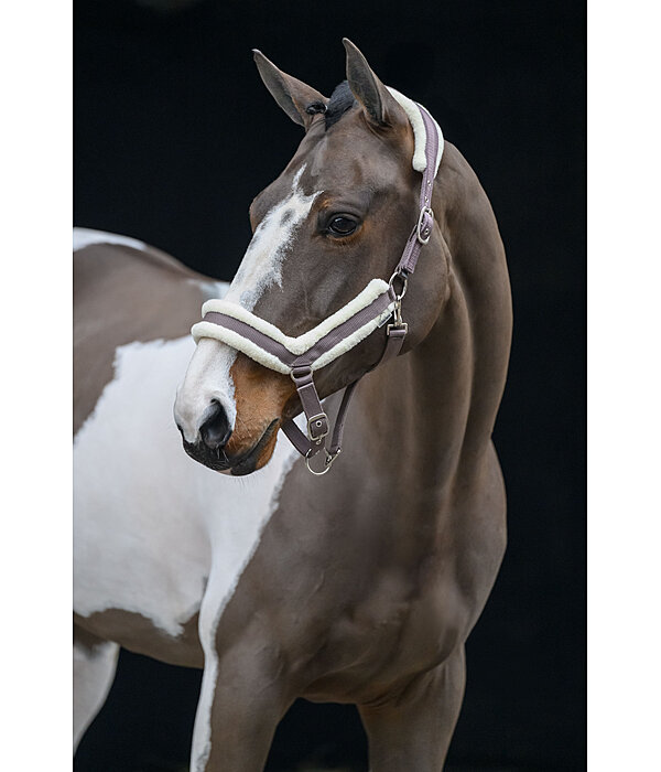 Licol en polaire Teddy  Anatomical Relaxation