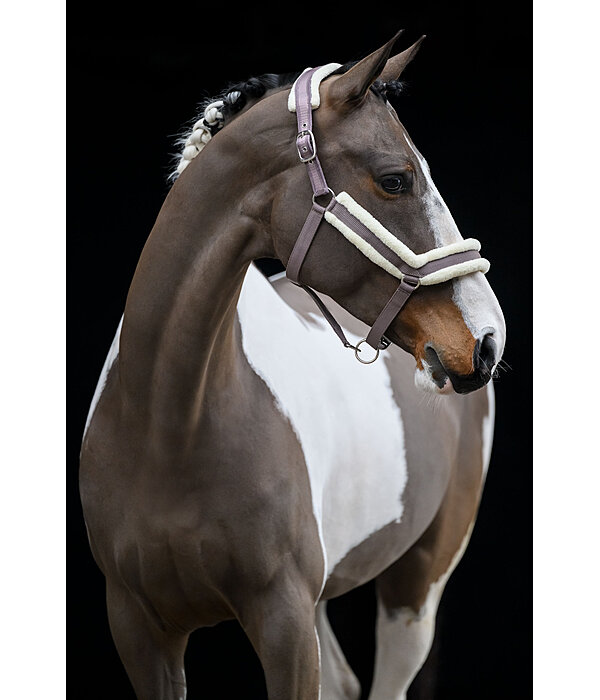 Licol en polaire Teddy  Anatomical Relaxation