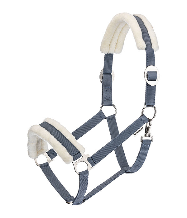 Licol en polaire Teddy  prix cass III