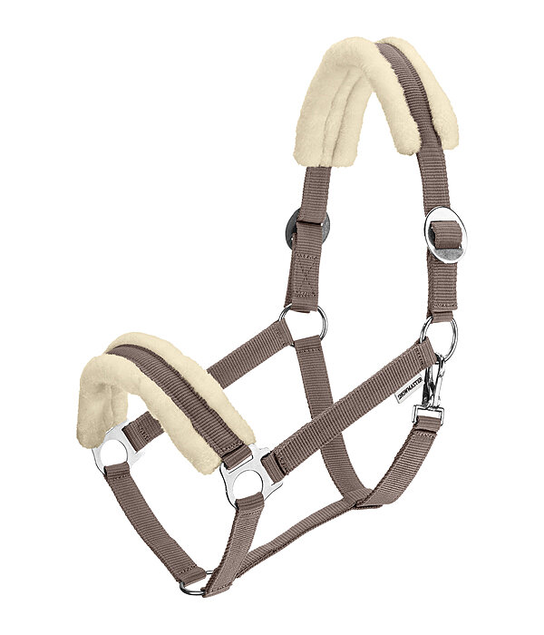 Licol en polaire Teddy  prix cass III