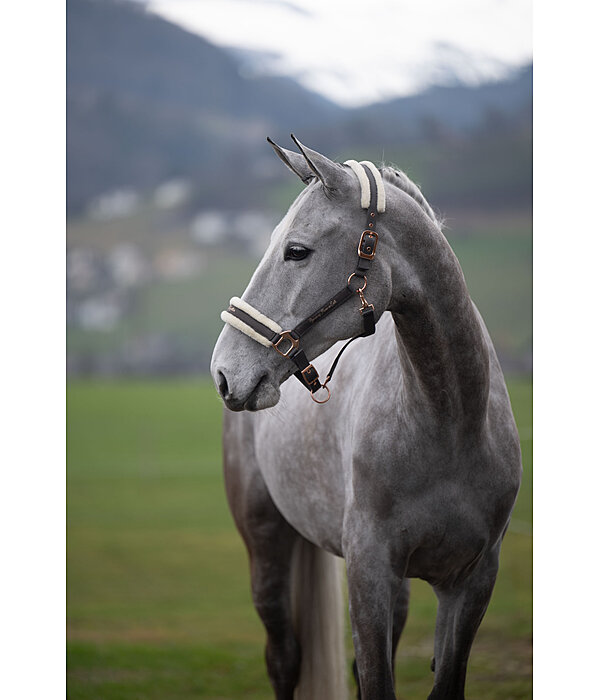 Licol avec polaire Teddy  Better Together