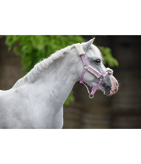 Licol poulain et shetland en polaire Teddy  Cozy Adjustable