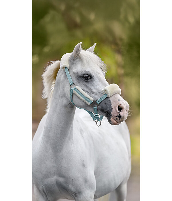 Licol poulain et shetland en polaire Teddy  Cozy Adjustable