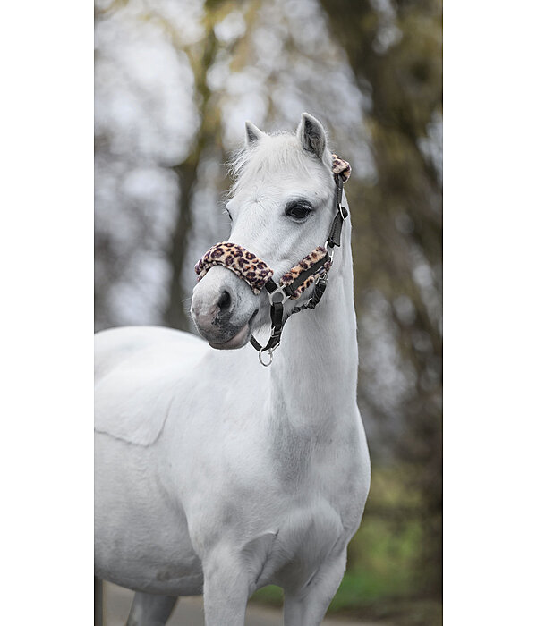 Licol poulain et shetland en polaire Teddy  Cozy Adjustable