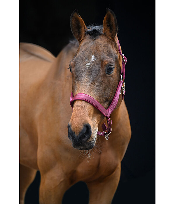 Licol anatomique  Relaxation