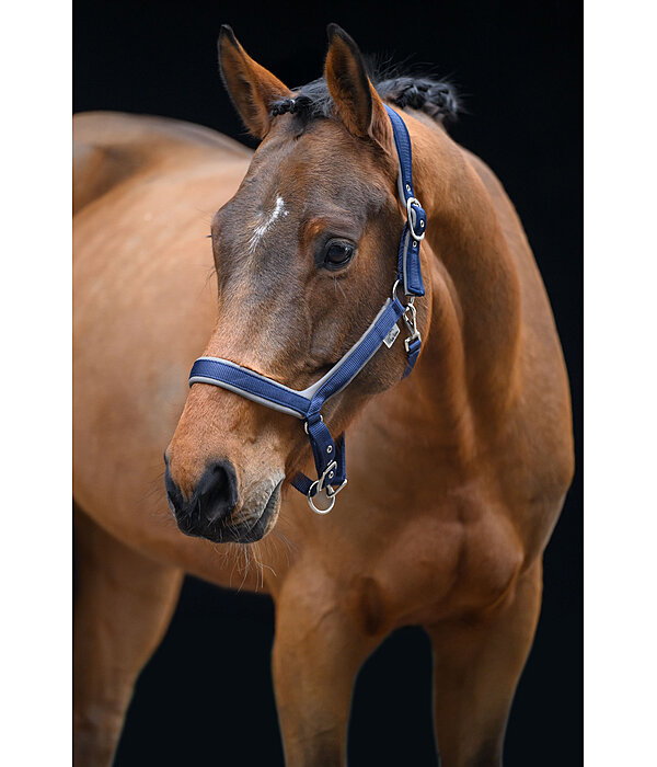 Licol anatomique  Relaxation