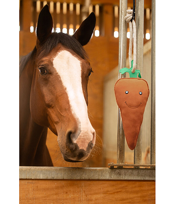 Jouet pour cheval  Carrot
