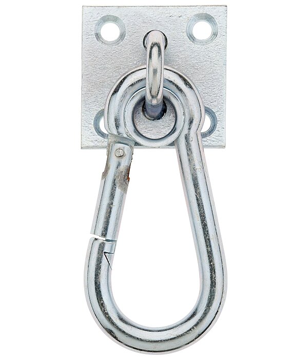 Mousqueton sur plaque