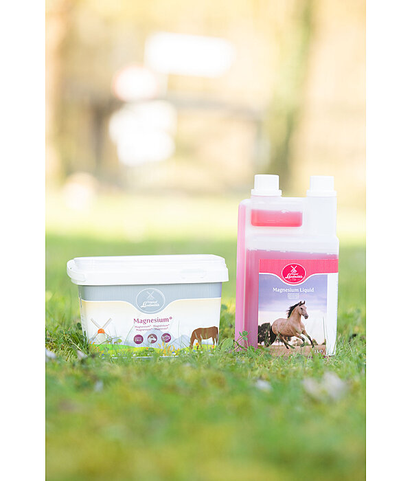 Magn�sium liquide