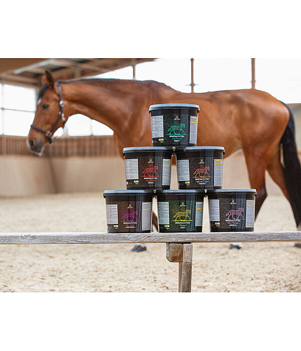 Complment minral premium  Gestation