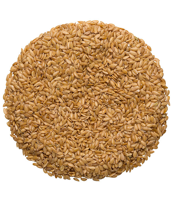 Graines de lin jaune